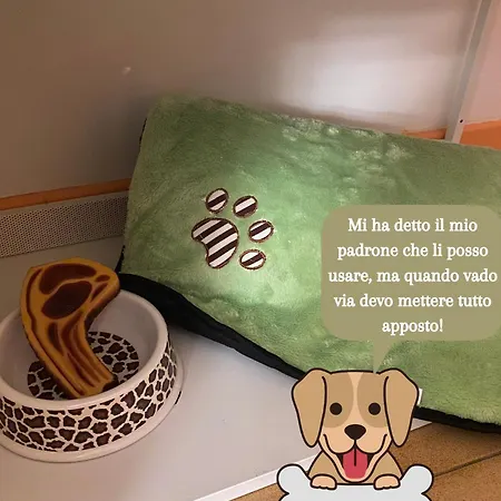 Coolarthome * Parma